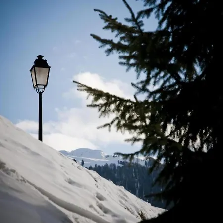 Vacation In Apartmán Veysonnaz