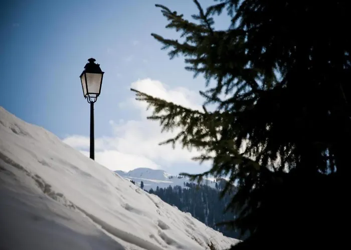 Vacation In 아파트 베이소나츠