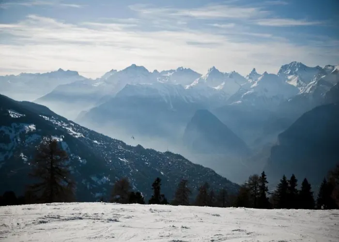 Vacation In ヴェゾナ