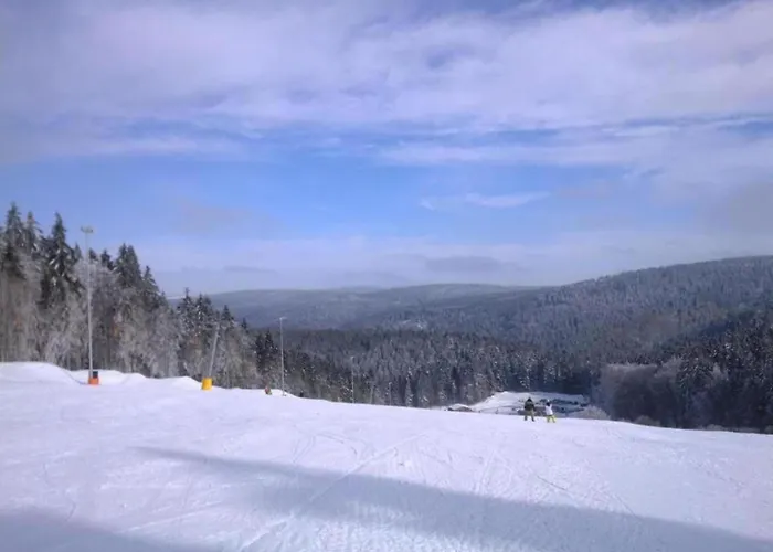 Vacation In 아파트