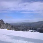 Vacation In شقة